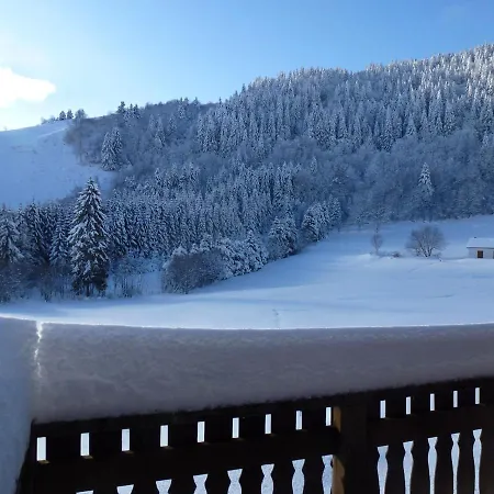 La Bresse Hautes Vosges Chalet 