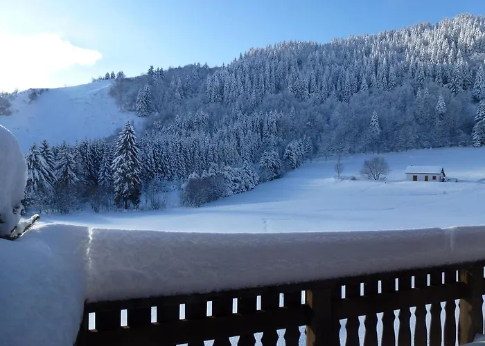 La Bresse Hautes Vosges Chalet \